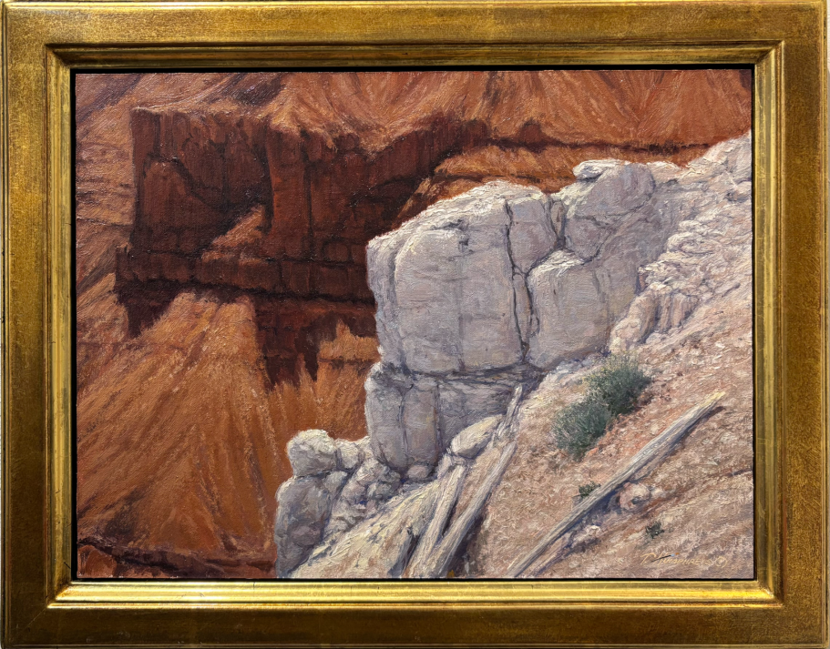 Cedar Breaks Contrast Rocky ledge overlooking a canyon, with deep red and brown hues in the background.