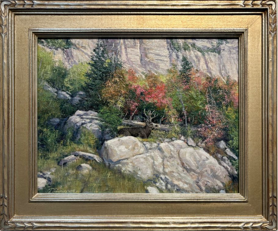 Cliff Hanger A vibrant landscape with rocks, trees, and colorful autumn foliage.